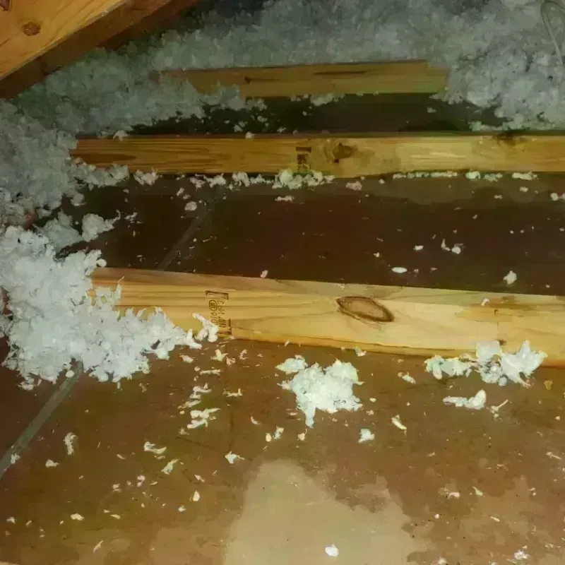 Attic Water Damage in Costa Mesa, CA